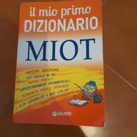 Dizionario 