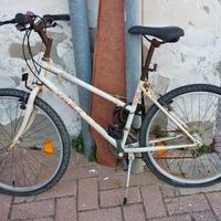 MTB TREK