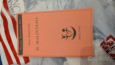 "Il malinteso" libro