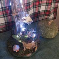 composizione piante grasse.