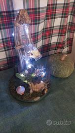 composizione piante grasse.