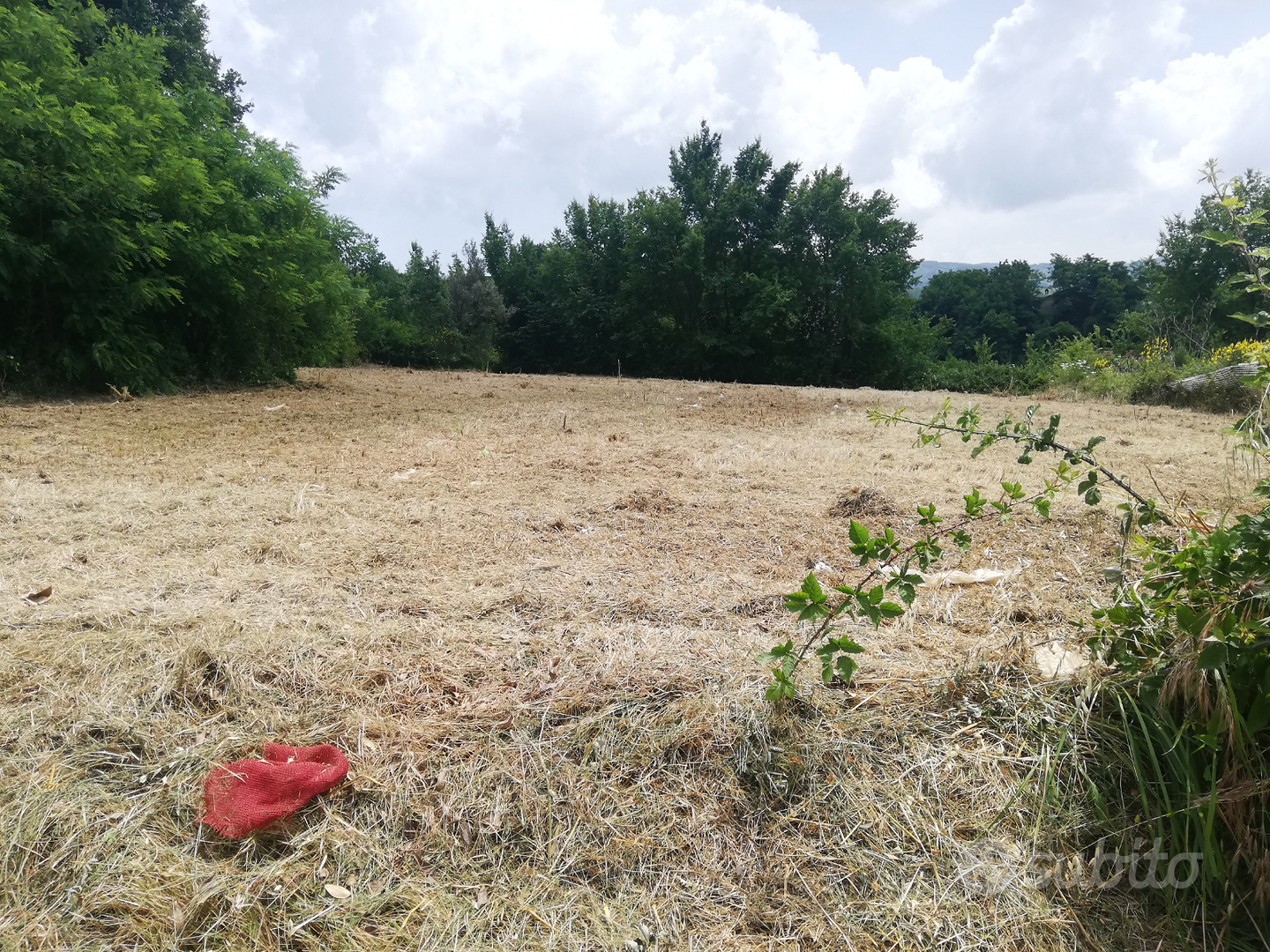 Terreno per costruire - Vista 2