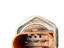 Immagine 3