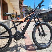 Specialized turbo levo