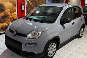 Fiat Panda 1.0 FireFly S&S Hybrid KM 21226