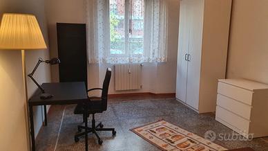 Ampia stanza camera singola pisa centro
