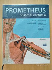 ATLANTE di ANATOMIA 