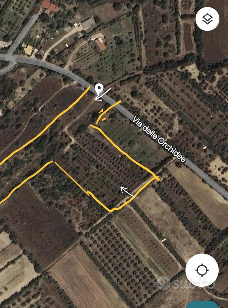 Terreno agricolo pressi Diverland - Vista 4