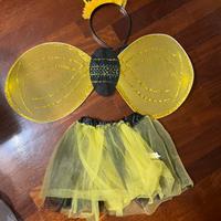 Costume carnevale bambina 2-2-4 anni ,zona Eur