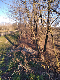 Terreno agricolo irriguo