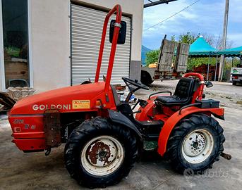 GOLDONI STERZANTE  EURO 30 RS 