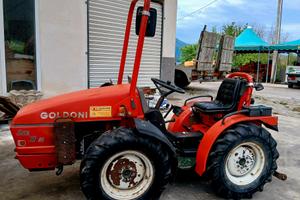 GOLDONI STERZANTE  EURO 30 RS 