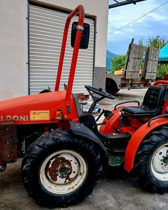 GOLDONI STERZANTE  EURO 30 RS 