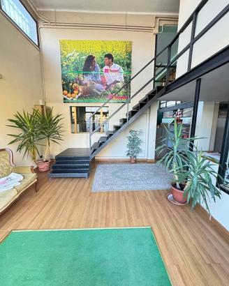 Immobile di 507 m² a Frosinone