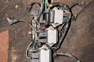 Bobine Mercury optimax 175 con cablaggio e staffa