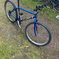 Bicicletta da corsa blu
