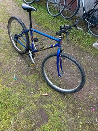 Bicicletta da corsa blu