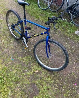 Bicicletta da corsa blu