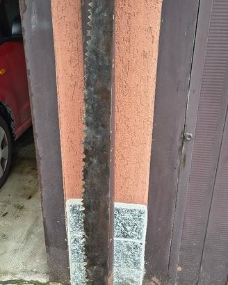 Sega boscaiolo prima metà novecento con fodero