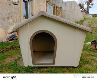 Cuccia per cane taglia media