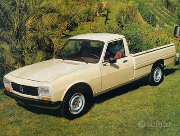 Peugeot 504