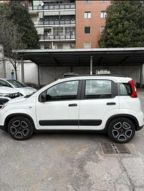 Fiat panda 2022