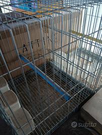 pappagalliere/trasportini