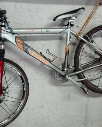 bicicletta uomo 26"