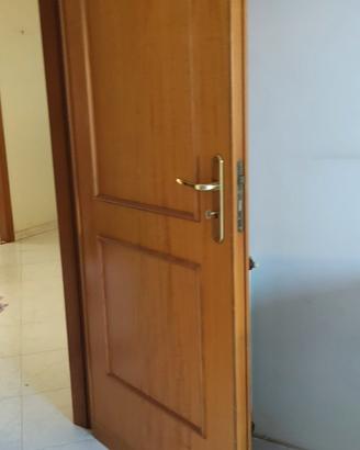 Porte da interno varie misure 