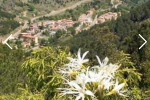 Casa Indipendente in montagna a 30 km dal mare