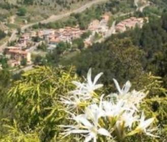 Casa Indipendente in montagna a 30 km dal mare