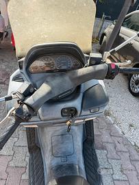 Burgman