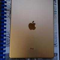 iPad Air 2 Wifi Color Oro + caricatore