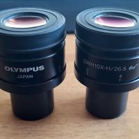 2 Oculari Olympus SWH10X-H/26.5 "Super Widefield"