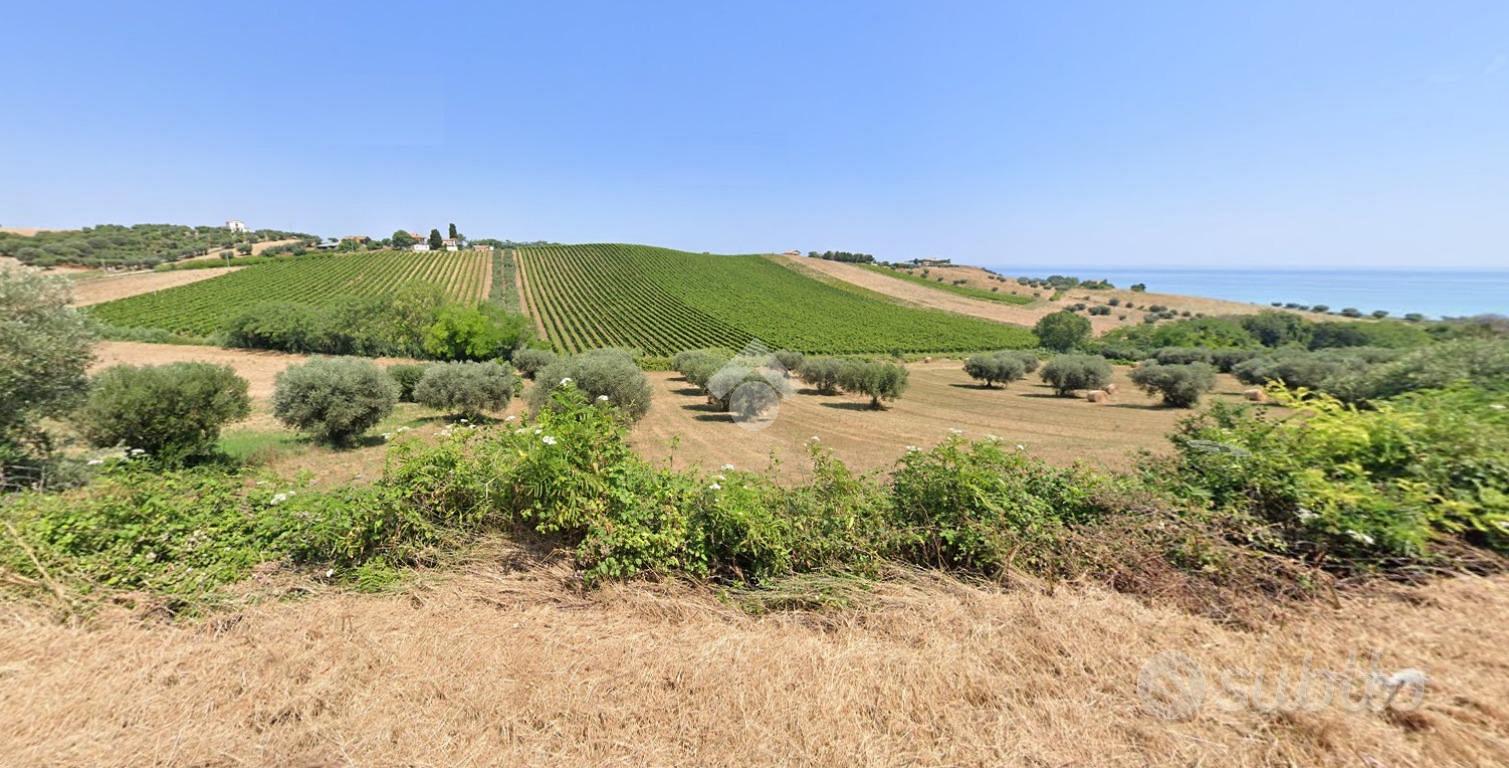 TER. AGRICOLO A ROSETO DEGLI ABRUZZI - Vista 5