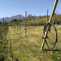 Terreno agricolo a trescore balneario