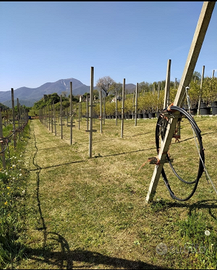 Terreno agricolo a trescore balneario