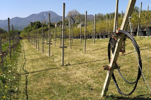 Terreno agricolo a trescore balneario