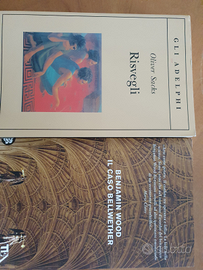 2 libri nuovi: Risvegli (Gli Adelphi) e Il Caso B