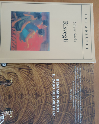 2 libri nuovi: Risvegli (Gli Adelphi) e Il Caso B