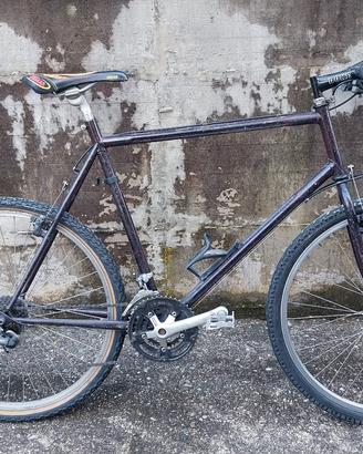 bicicletta 