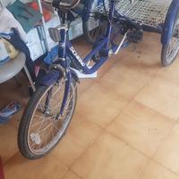 bicicletta tre ruote 