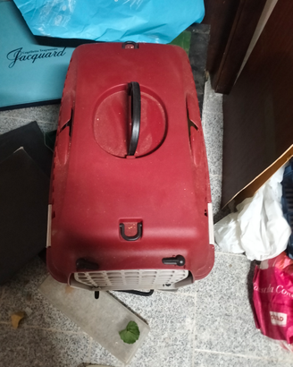 Trasportino cani o gatti