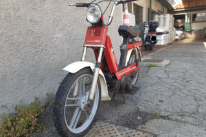 Fantic issimo