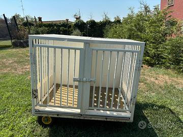 Gabbia trasporto animi generose dimensioni