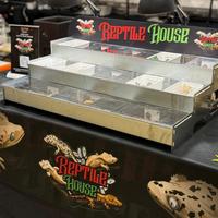 Espositori per gechi, rettili, serpenti