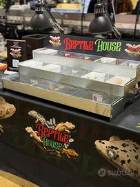 Espositori per gechi, rettili, serpenti