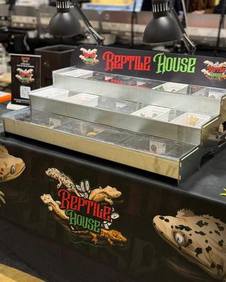 Espositori per gechi, rettili, serpenti