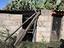 Immagine 25