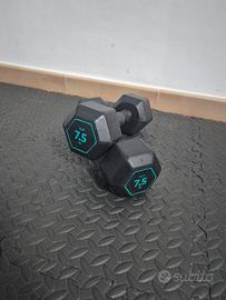 Manubri da 7,5kg/5kg + Portamanubri